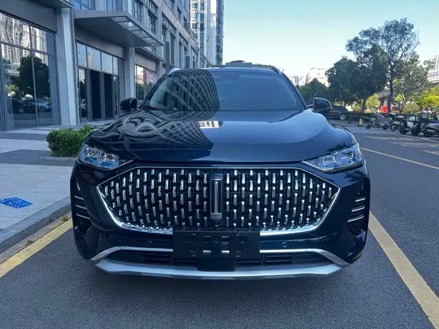  WEY Wey Mocha 2021 2.0T 4WD Premium Edition
