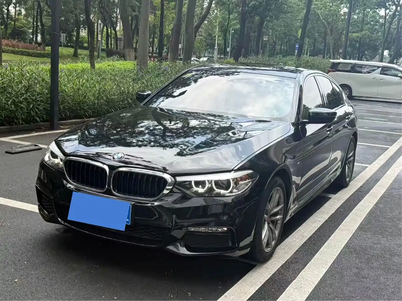 BMW 5 Series (Import)