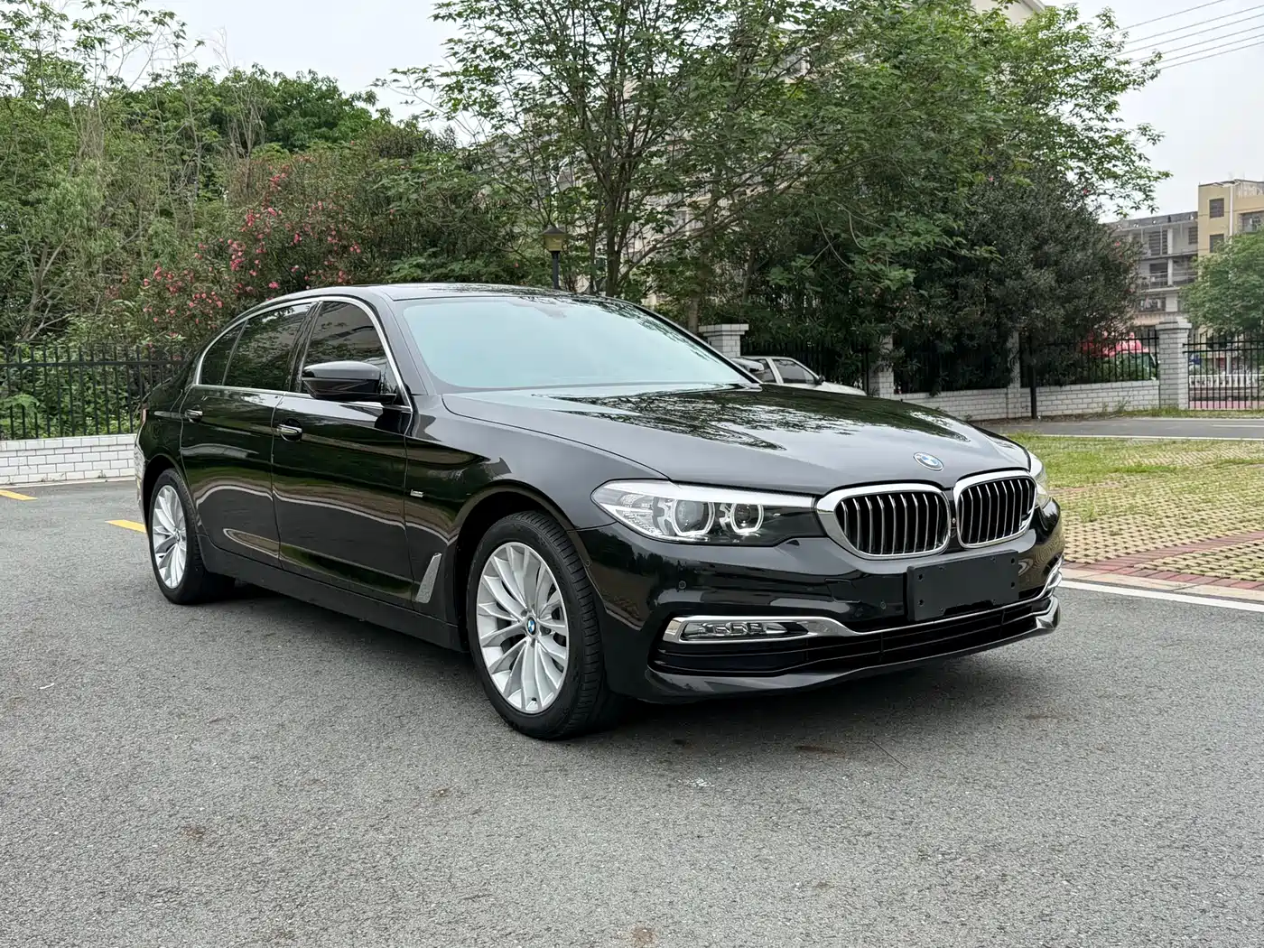 BMW 5 Series 2018 525Li Luxury Package фото 3