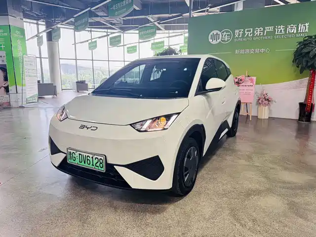 BYD Seagull 2025