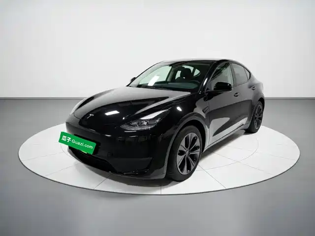 Tesla Model Y Задний привод