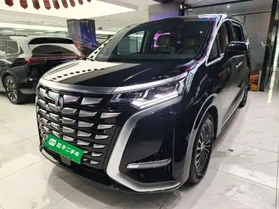 Denza D9