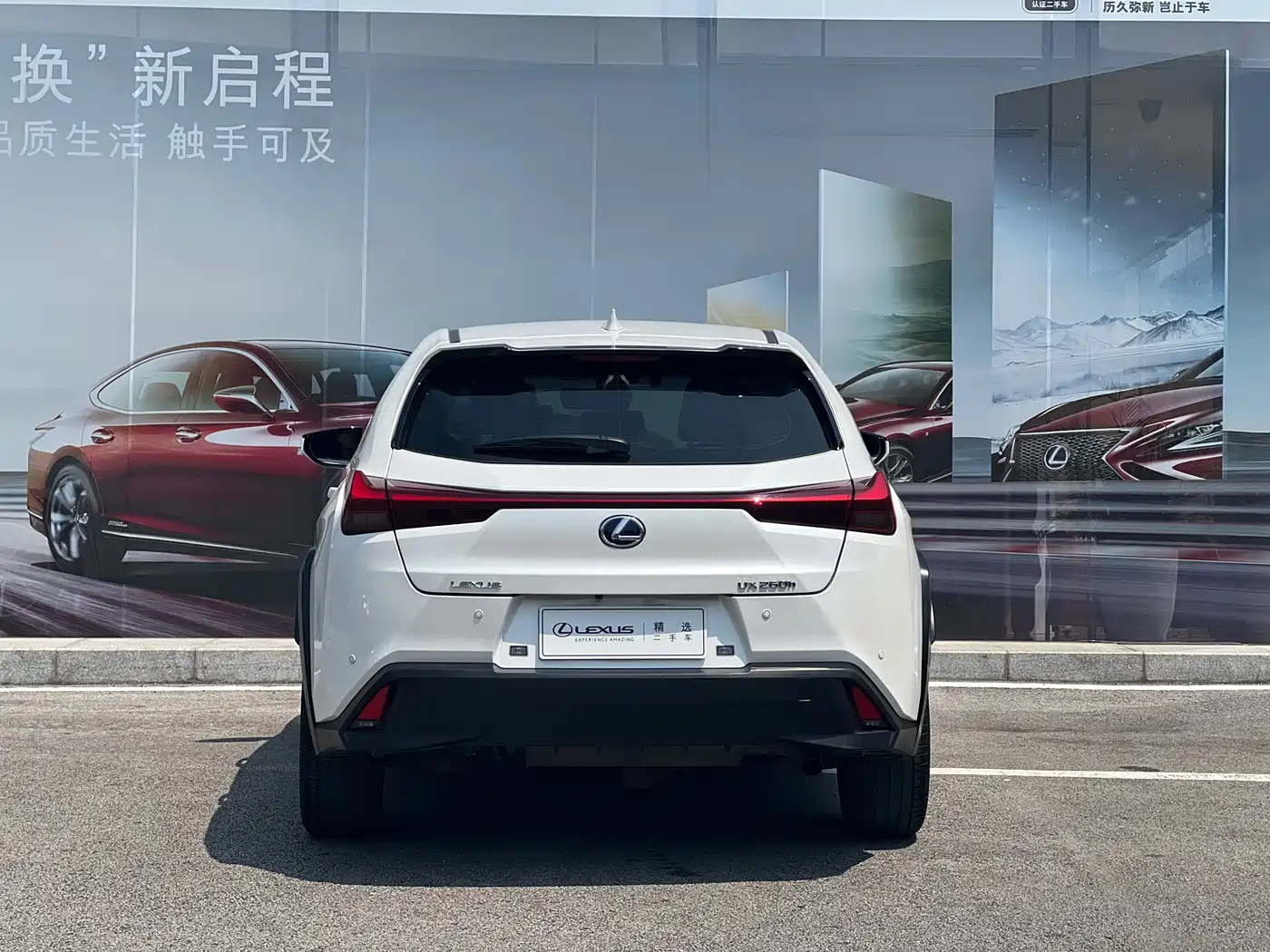 Lexus UX 2020 260h Explore Cool Edition фото 8