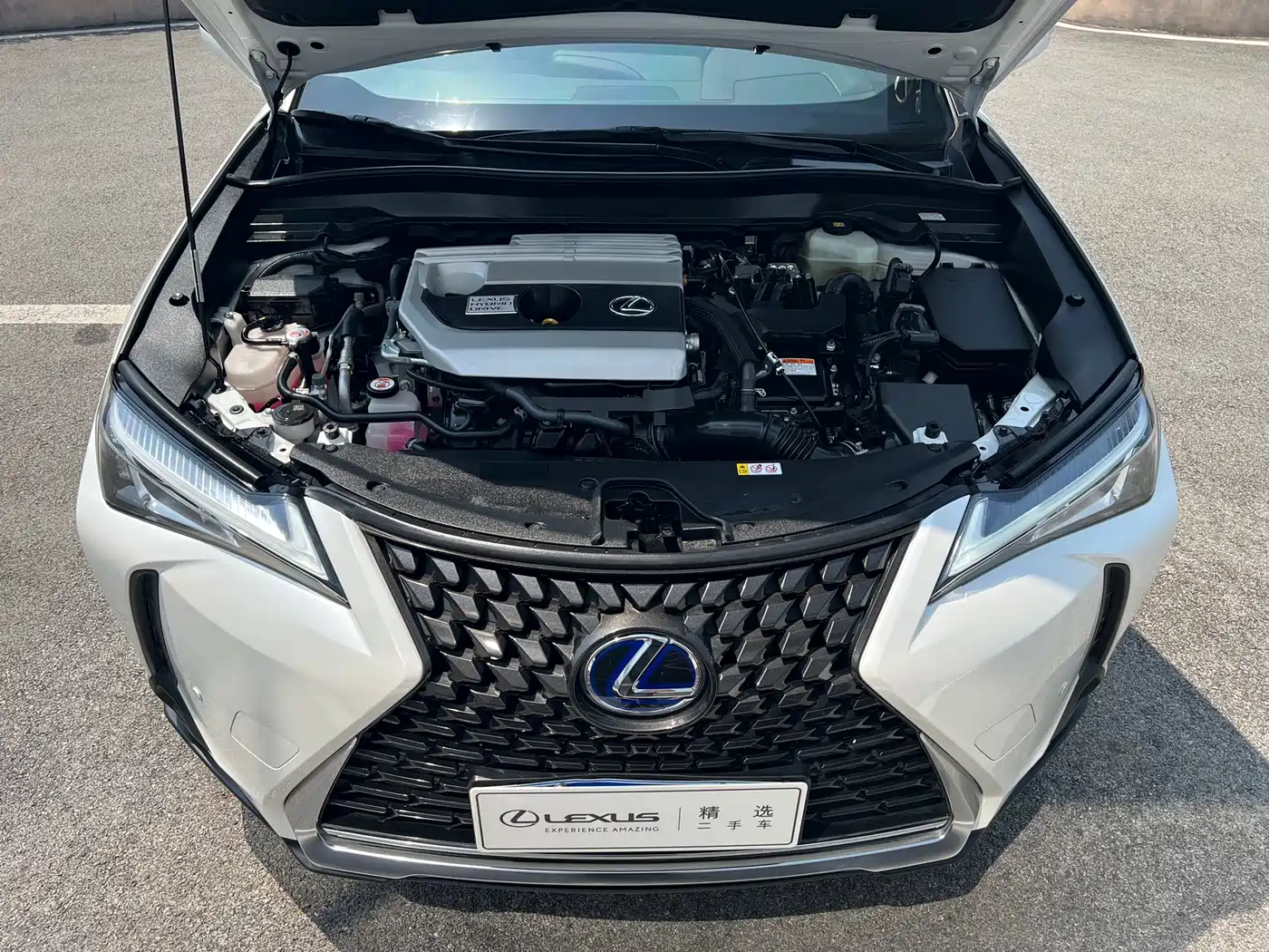 Lexus UX 2020 260h Explore Cool Edition фото 10
