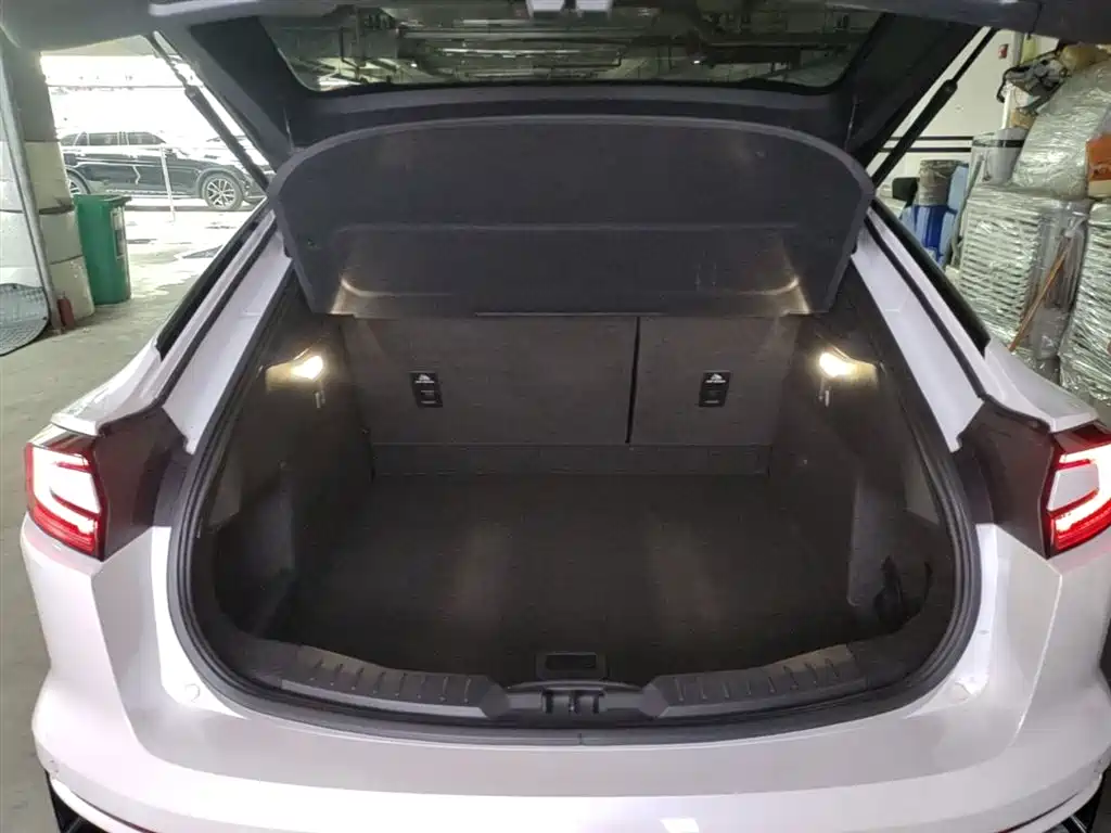 FORD EVOS