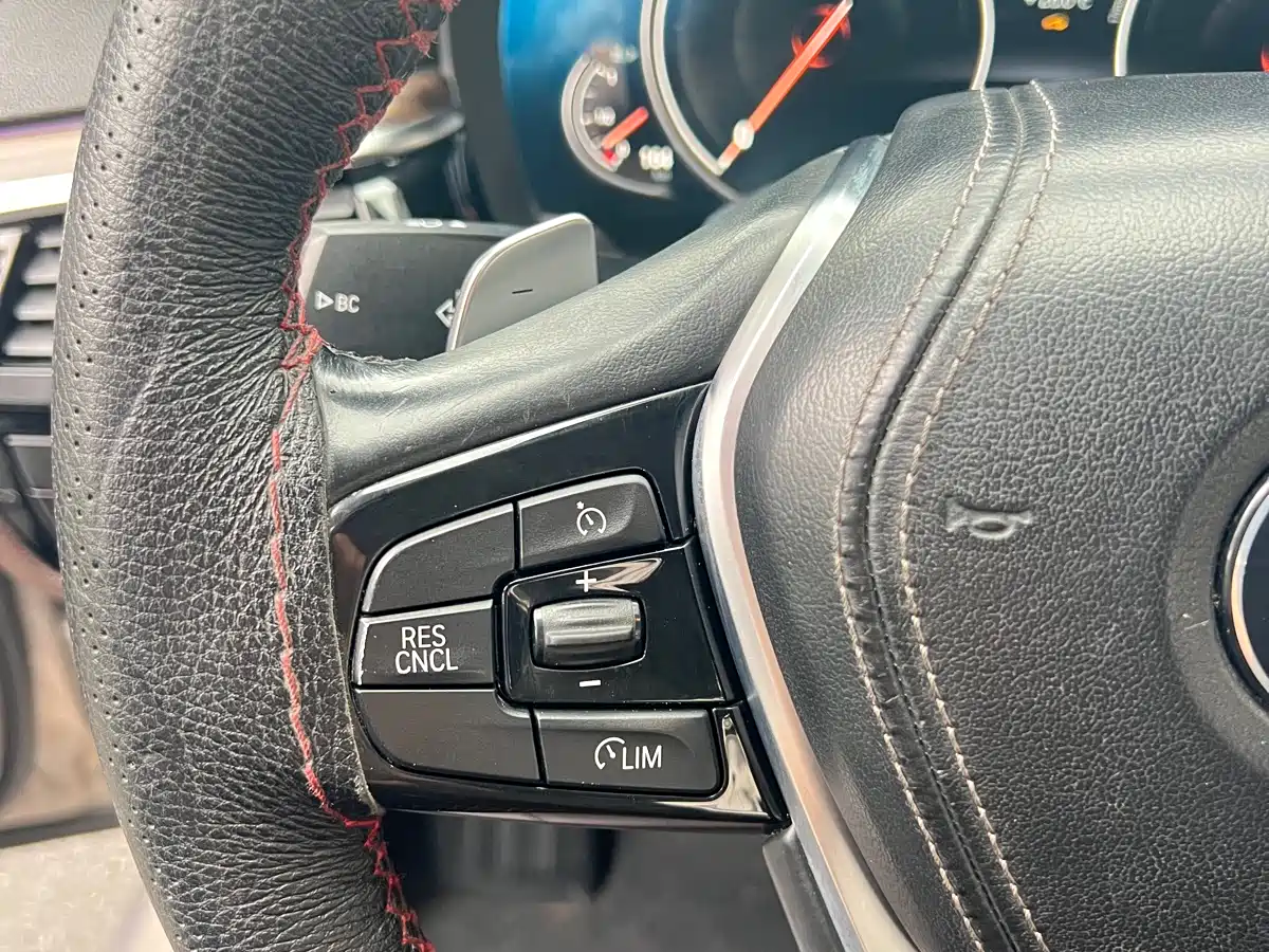 BMW 5 Series 2018 530Li Leading Luxury Package фото 15