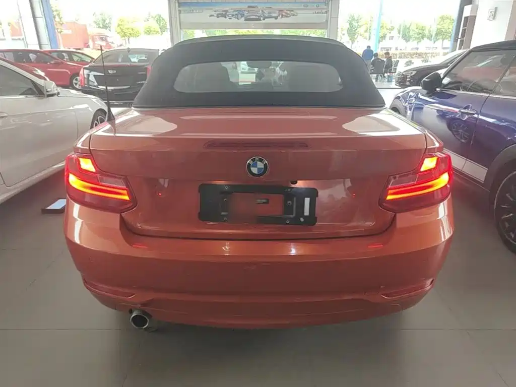 BMW 2 Series (Import) 2015 218i Convertible Coupe фото 6