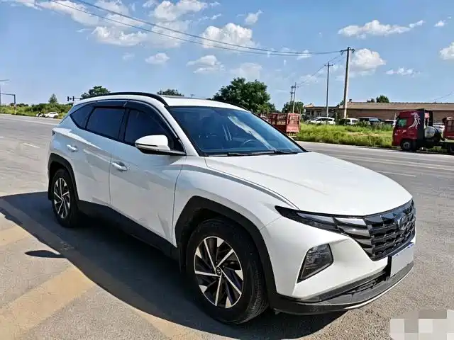 Hyundai Tucson 2023 2023 Tucson L 1.5T Automatic 2WD GLX Elite Edition