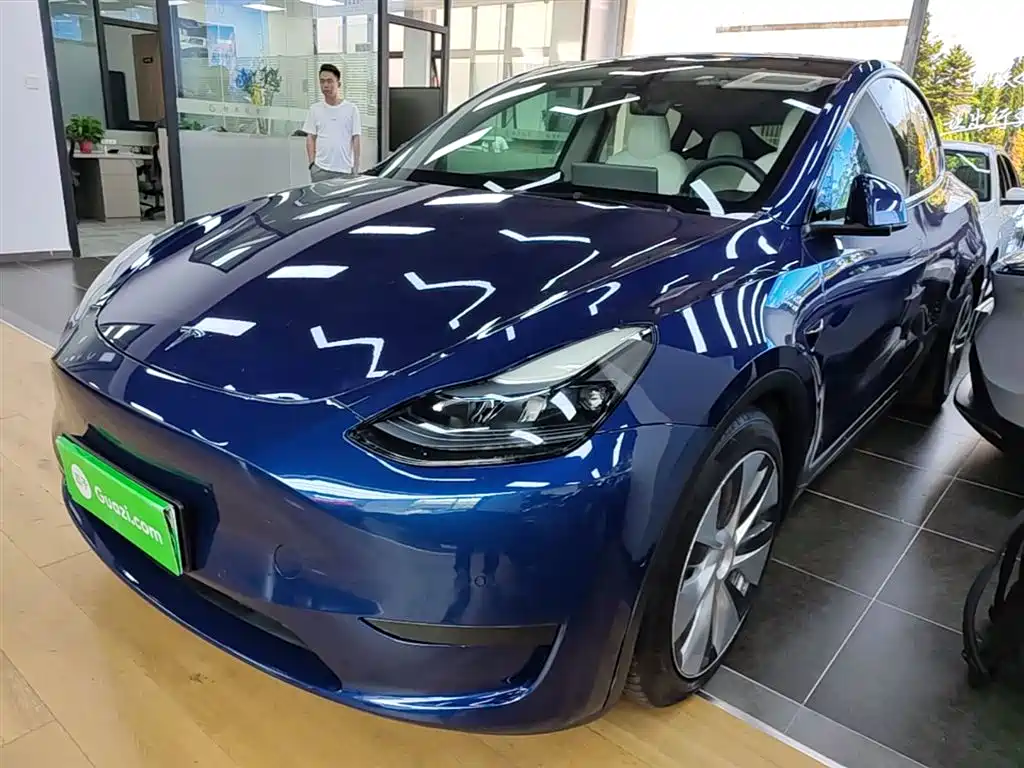 Tesla Model Y 2022 Rear-Wheel Drive Version