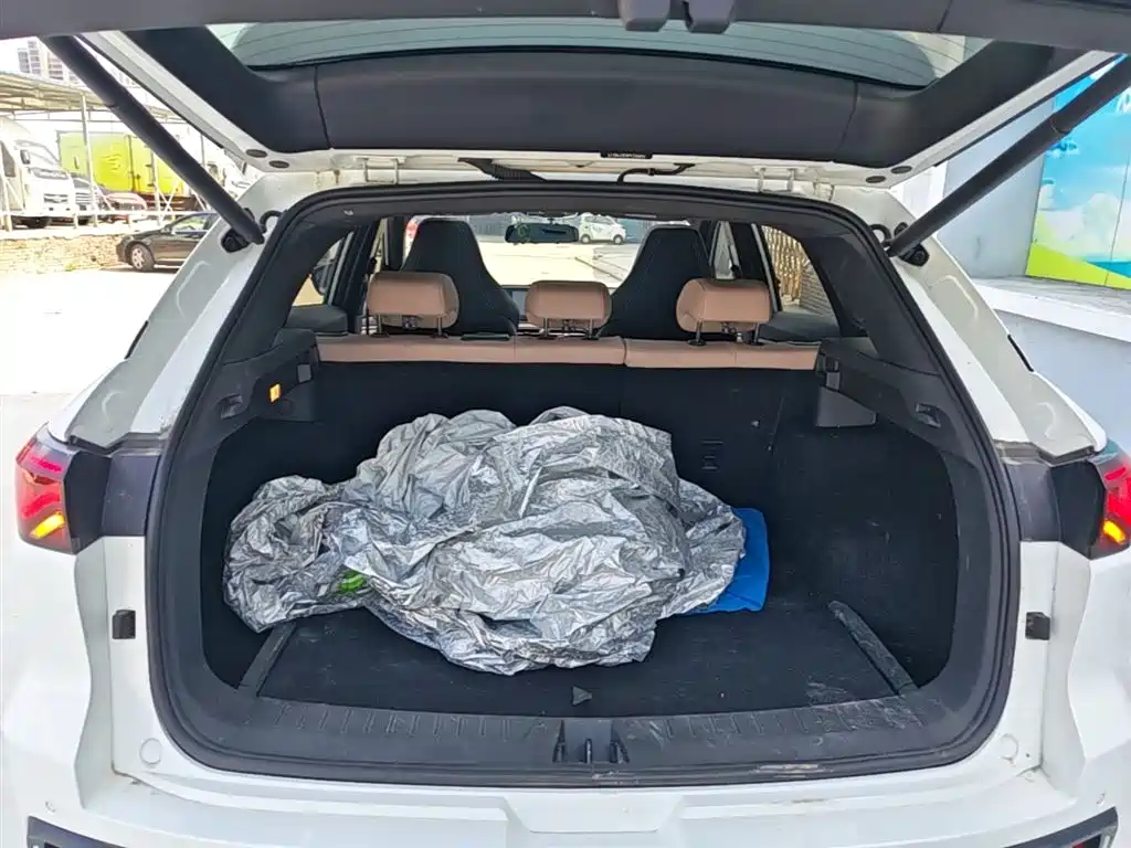 JAC Motors JAC QX PHEV 2024 2023 120km Dynamic Edition