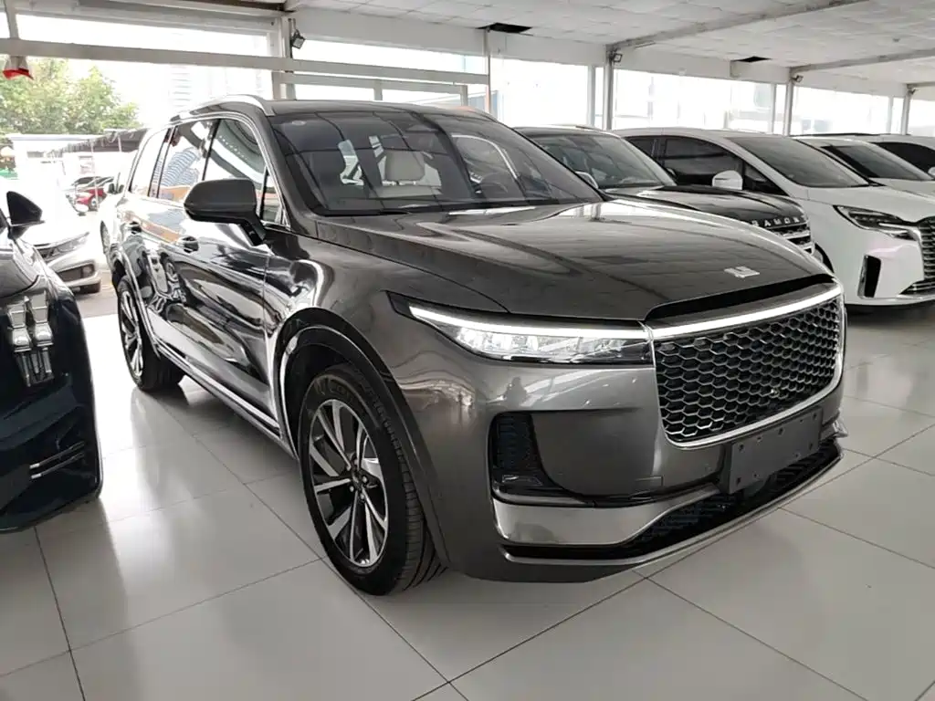 Фото 4 - Li Auto Li ONE