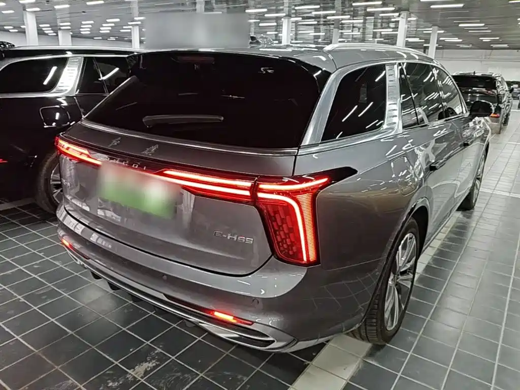 Hongqi E-HS9 2022 660km Qi Chang Edition (6-seater) фото 7