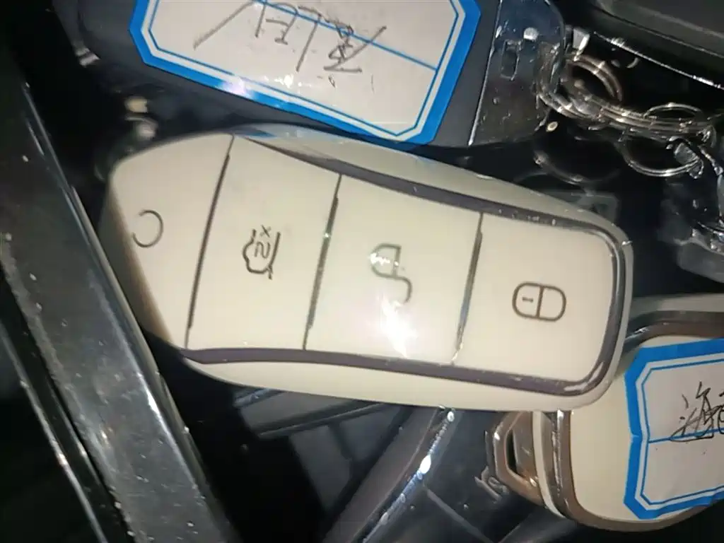 BYD Tang New Energy 2025 Smart Driving Edition DM-i 115KM Flagship фото 9