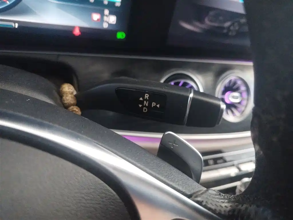 Mercedes-Benz E-Class 2016 E 300 L Sport Luxury фото 10
