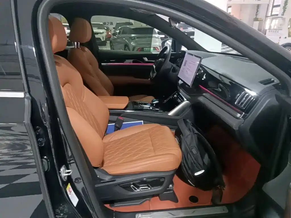 BYD Tang New Energy 2023 Model DM-i Champion Edition 112KM Honor фото 25