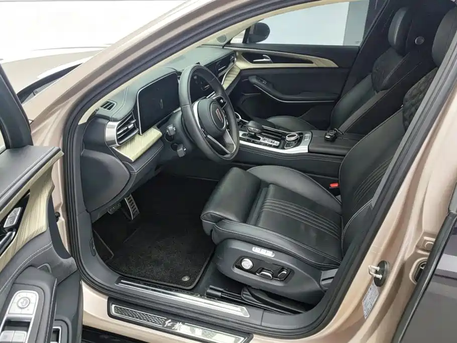 Hongqi H9 2021 2020 3.0T Smart Connect Flagship 4-Seater