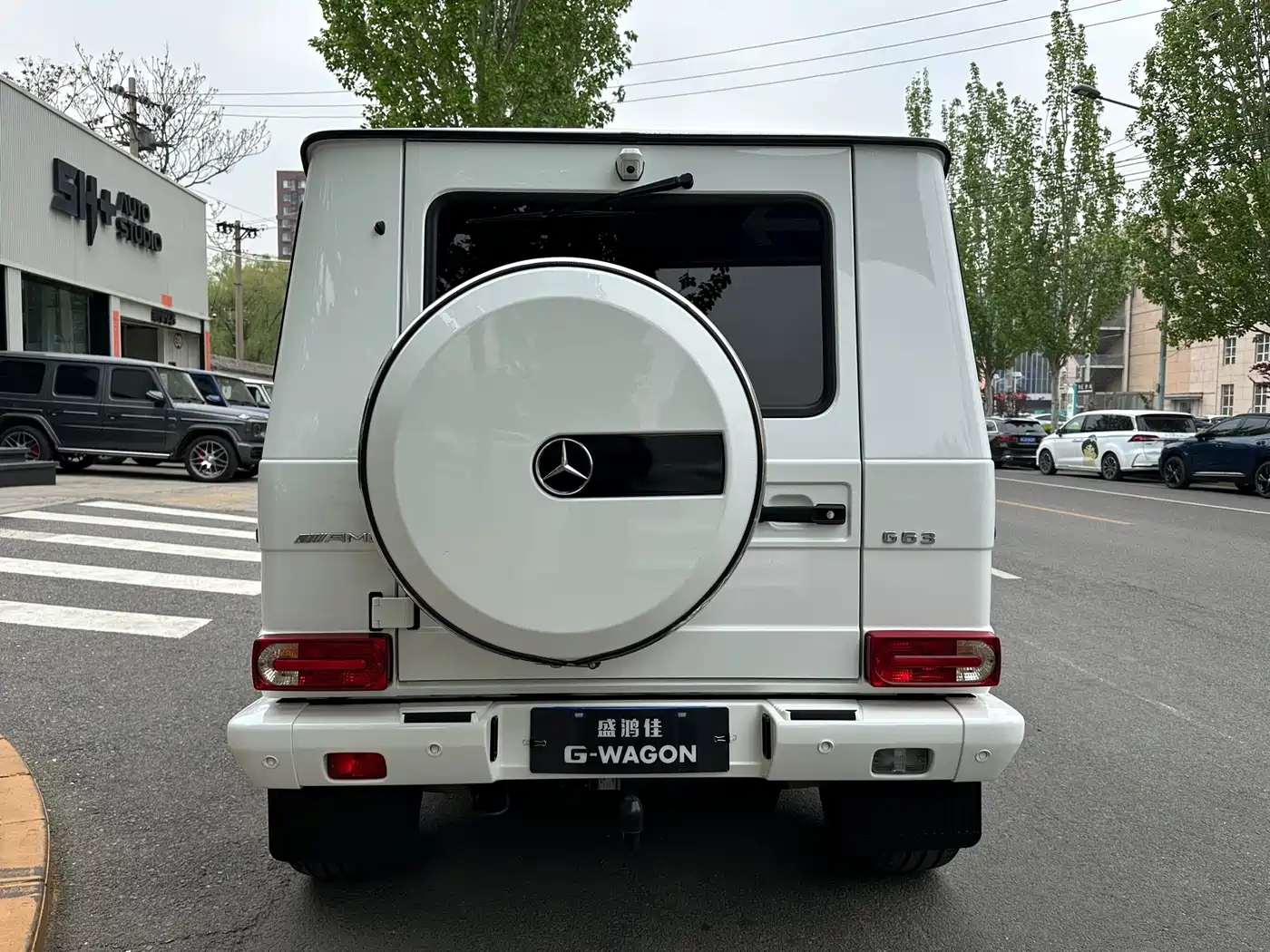 Mercedes-Benz G-Class 2016 G 500 фото 5