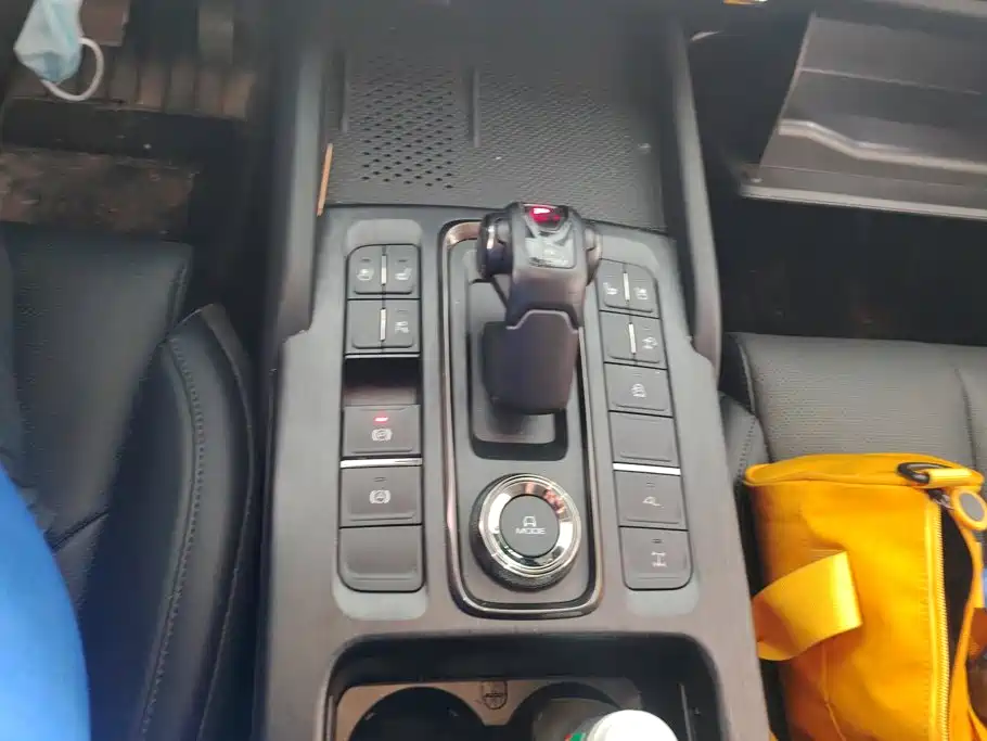 Haval H9 2025 2024 2.0T Gasoline AWD Extreme Edition