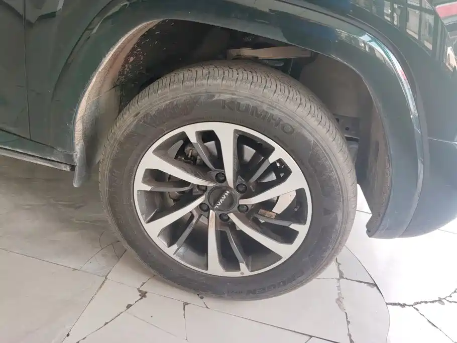 Haval H9 2025 2024 2.0T Gasoline AWD Extreme Edition