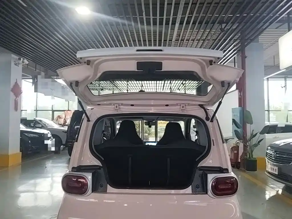 Фото 19 - Wuling Motors Hongguang MINIEV