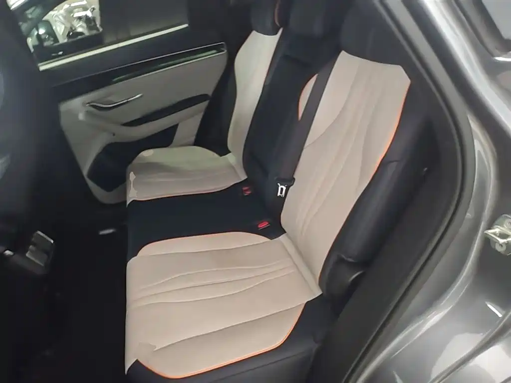 BYD Song PLUS PHEV 2021 DM-i 110KM Flagship PLUS фото 17