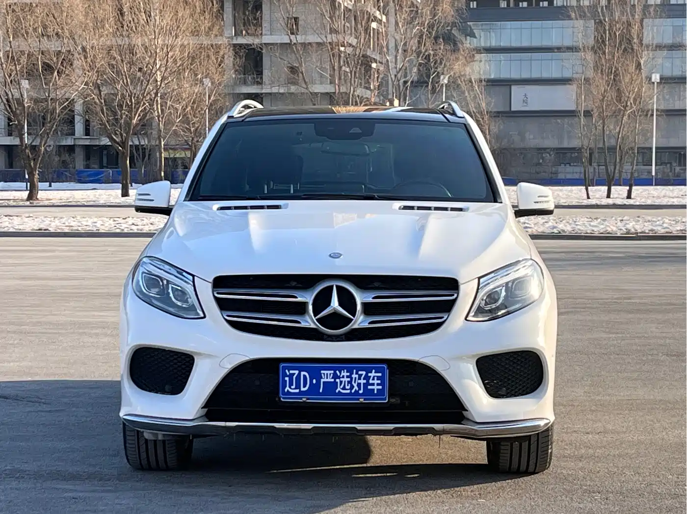 Mercedes-Benz GLE 2017 GLE 320 4MATIC Luxury фото 2