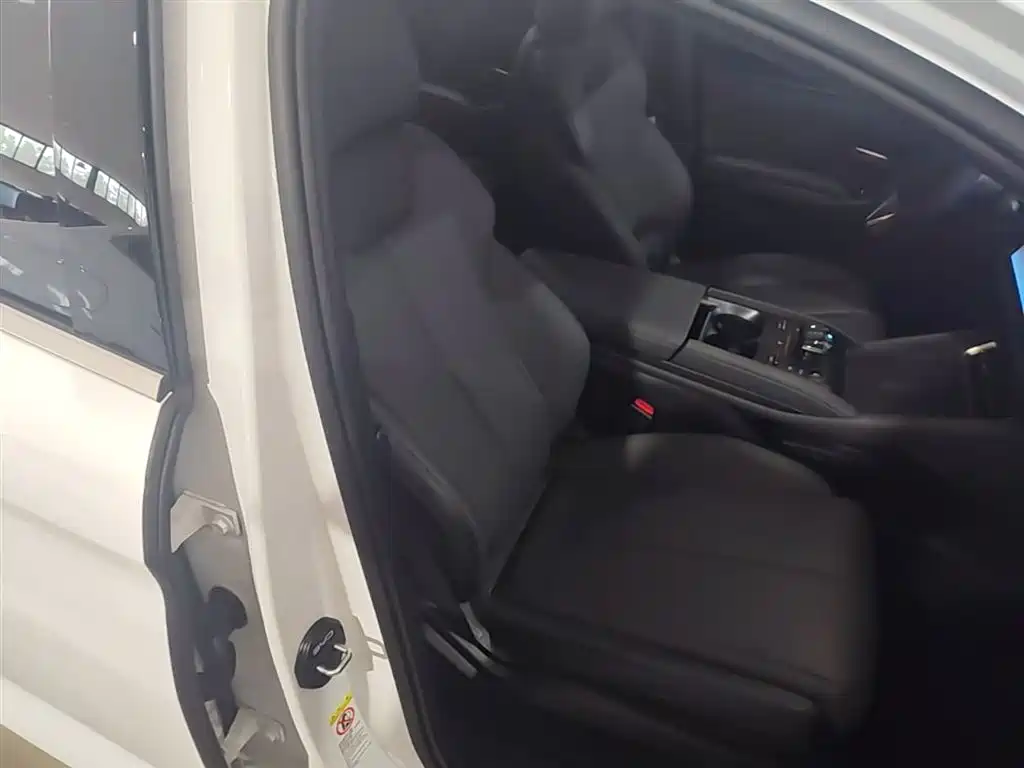 BYD Qin L 2024 DM-i 120KM Leading фото 25