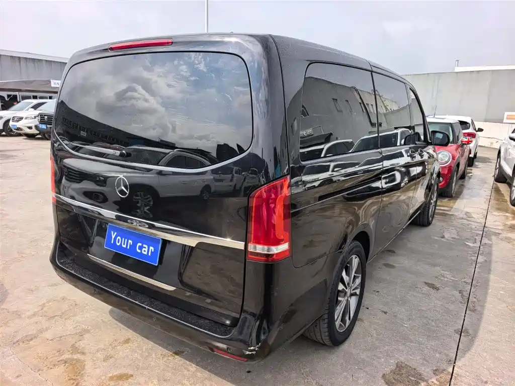 Mercedes-Benz V-Class 2018 V 260 Pilot Edition China V фото 6