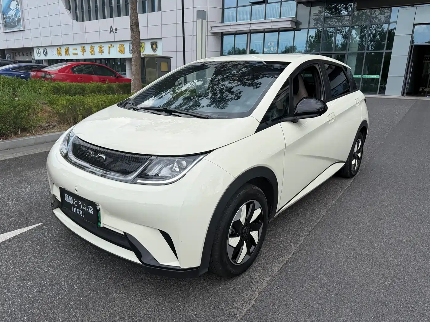 BYD Dolphin 2025