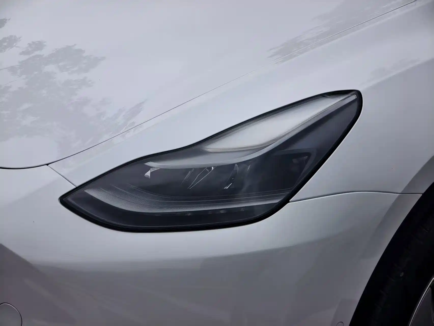 Фото 13 - Tesla Model Y