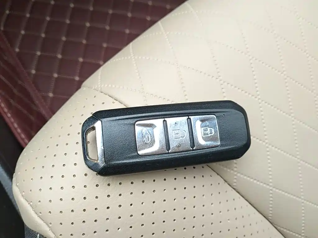 Baojun 310W 2019 2017 1.5L Manual Luxury China V