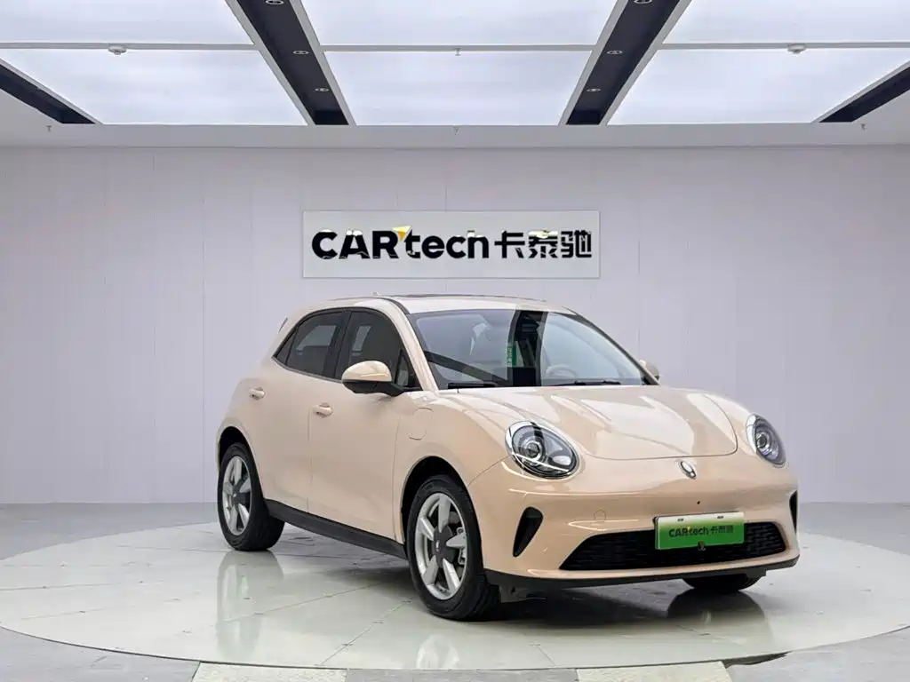 Ora Good Cat 2026 2025 Model 430km Luxury