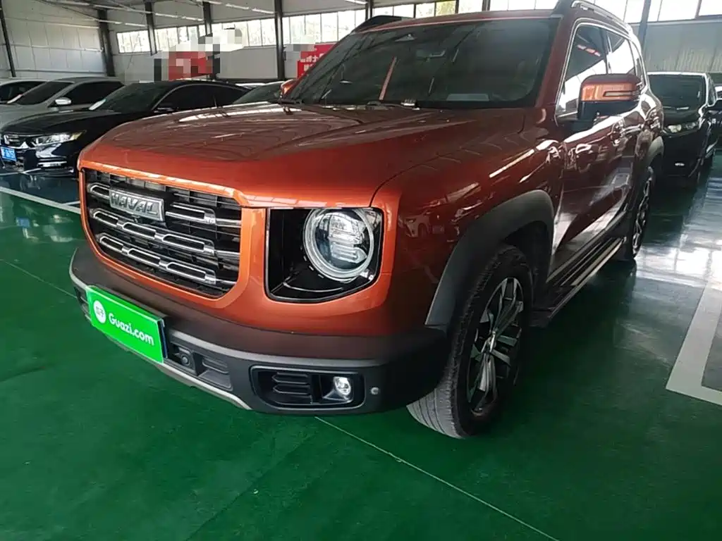 Haval Big Dog 2021 1.5T DCT 2WD Border Collie - Wangcai Edition