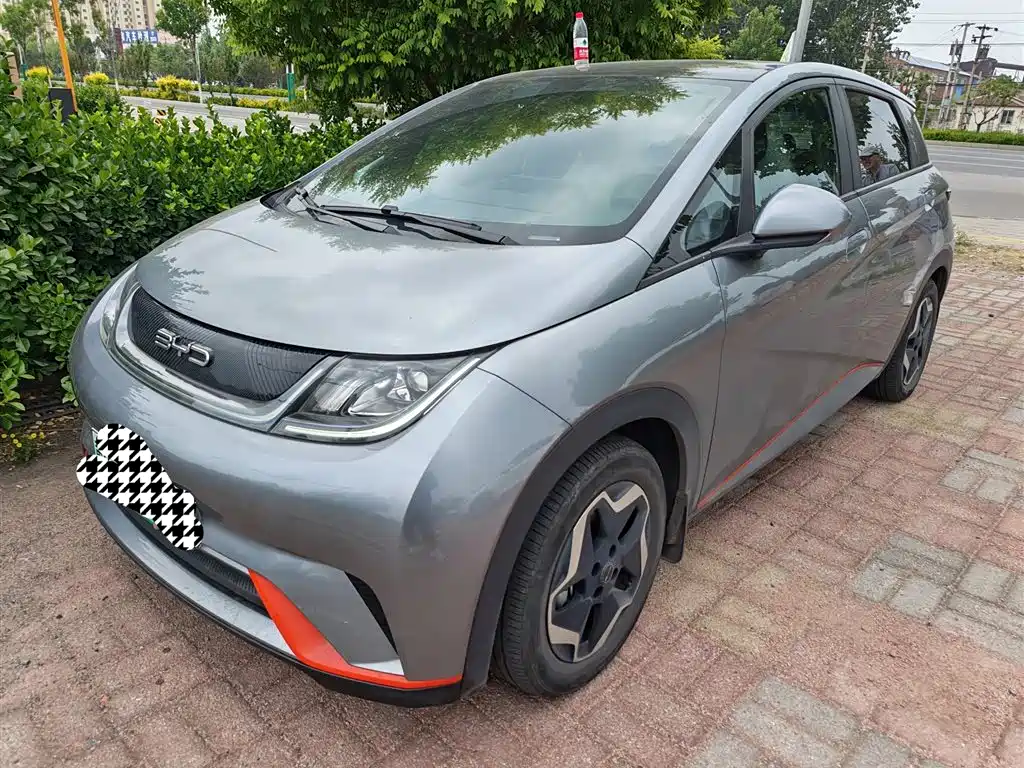BYD Dolphin 2021 405km Freedom Edition