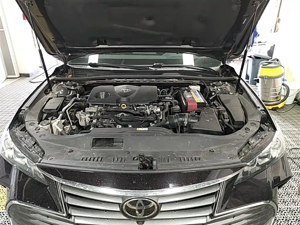 Toyota Avalon 2019 2.0L XLE Premium Edition (China VI) фото 20