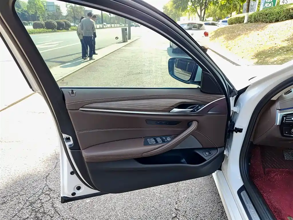 BMW 5 Series 2021 530Li Leading Luxury Package фото 6