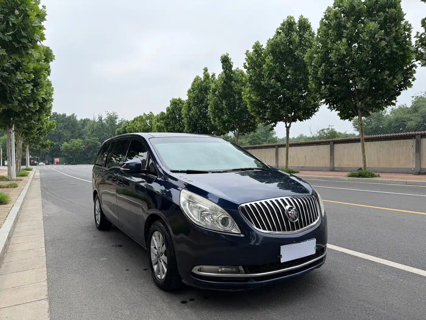 Buick GL8 2013 2.4L CT Luxury Business Comfort Edition фото 3