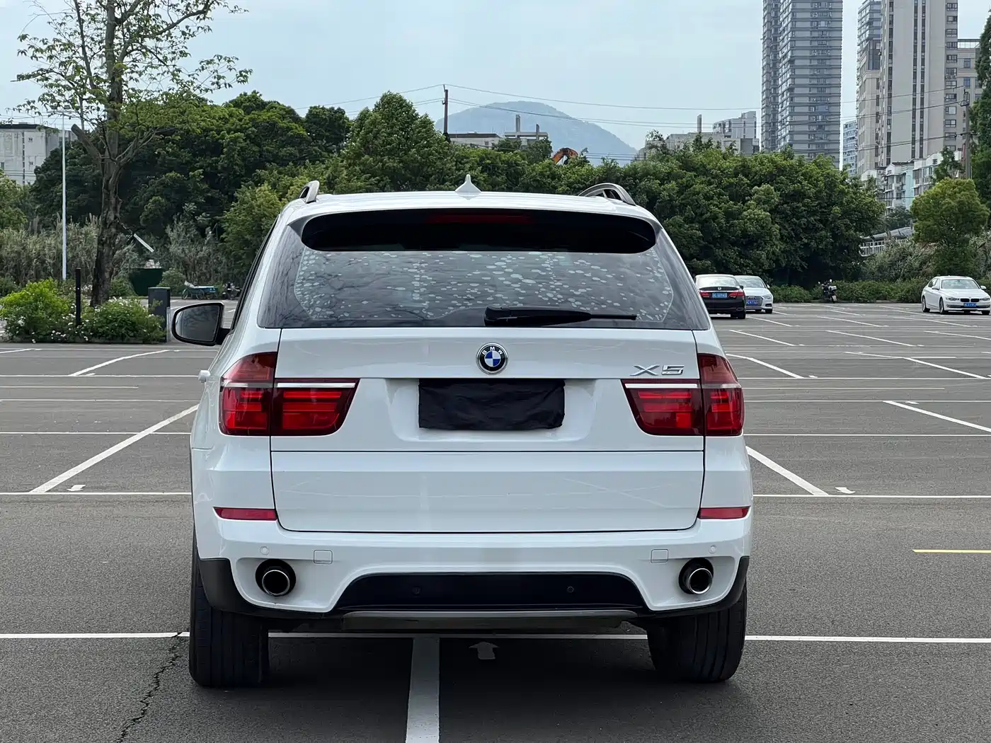 BMW X5 (Import) 2013 xDrive35i Luxury фото 12