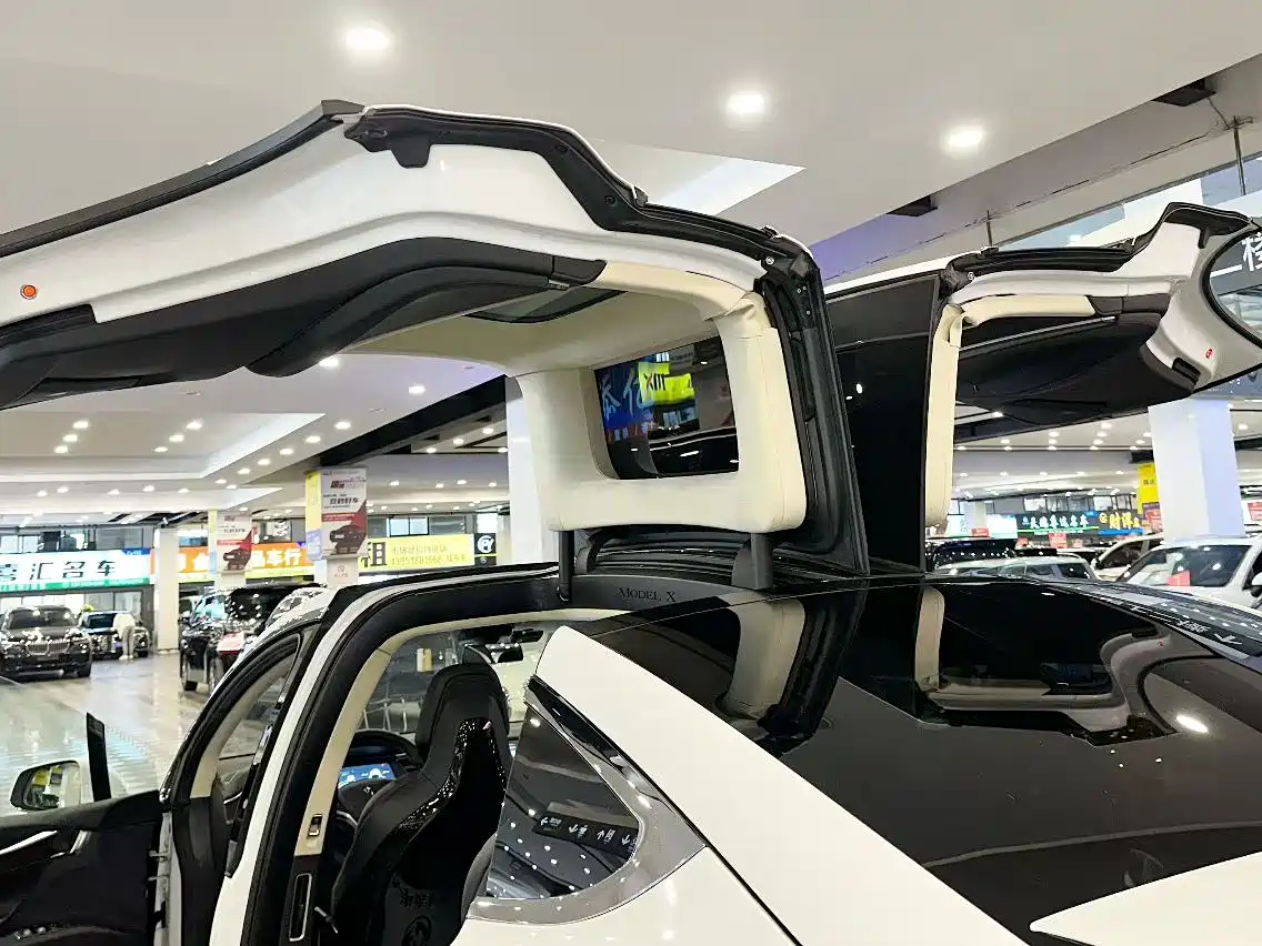 TESLA MODEL X