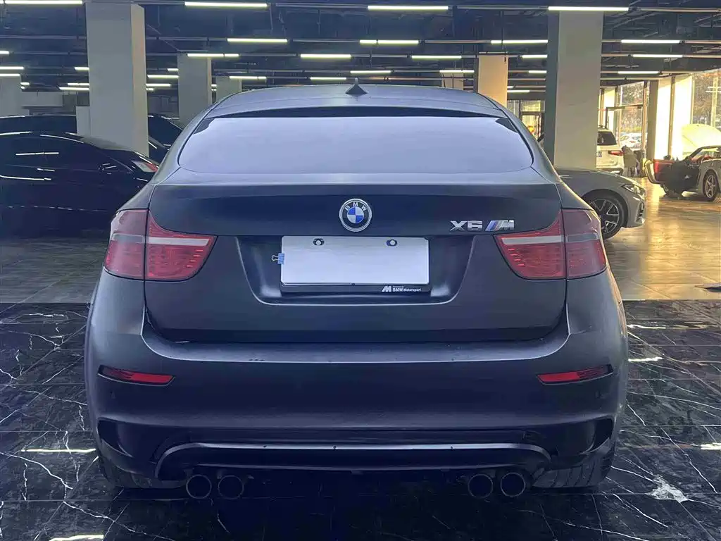 BMW X6 M 2010 X6 M фото 15