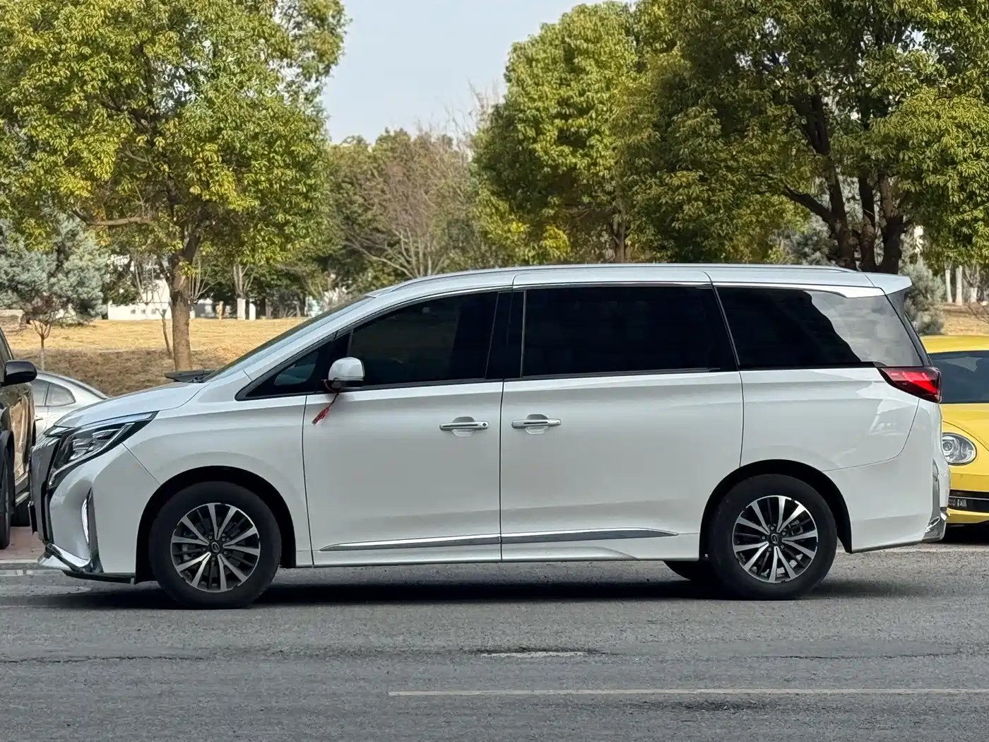 GAC Trumpchi Trumpchi M8 2024 Leadershow Series 390T Luxury Edition фото 3