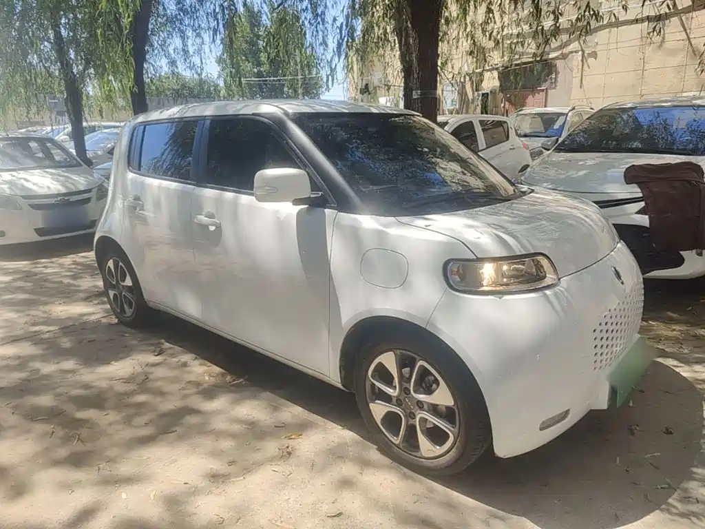Ora White Cat 2021 2020 305km Luxury