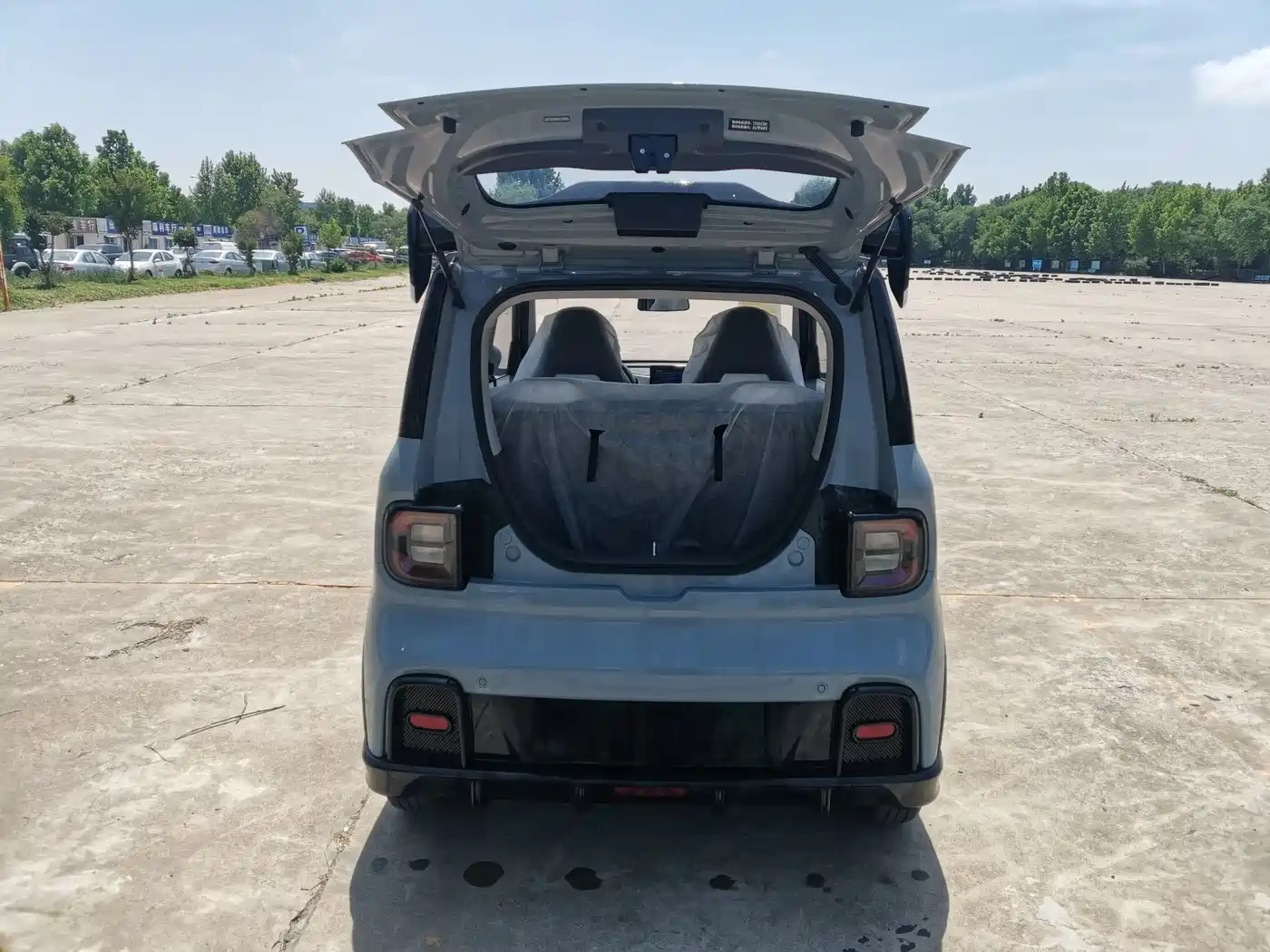 Geely Galaxy Panda 2025 Model Year 210km Panda Kart фото 13