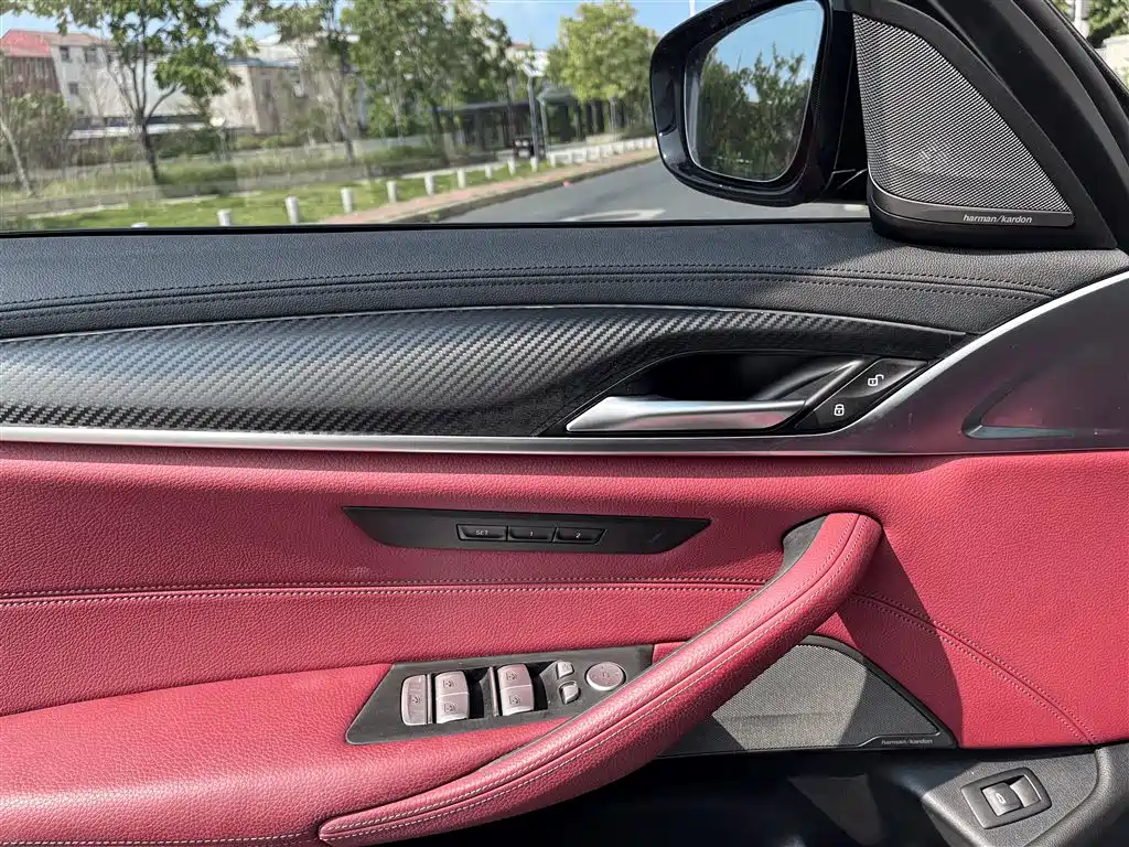 BMW 5 Series 2019 530Li Premium M Sport Package фото 6