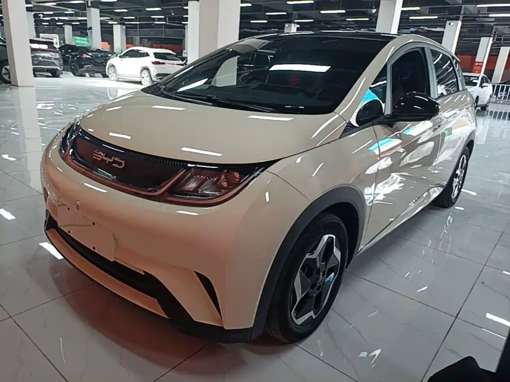 BYD Dolphin 2021 Model 405km Fashion Edition