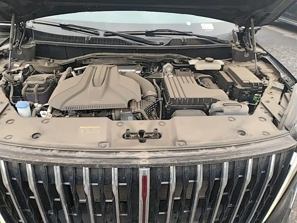 Hongqi HS7 PHEV 2024 2.0T PHEV AWD Qichang Edition 7-seater фото 20
