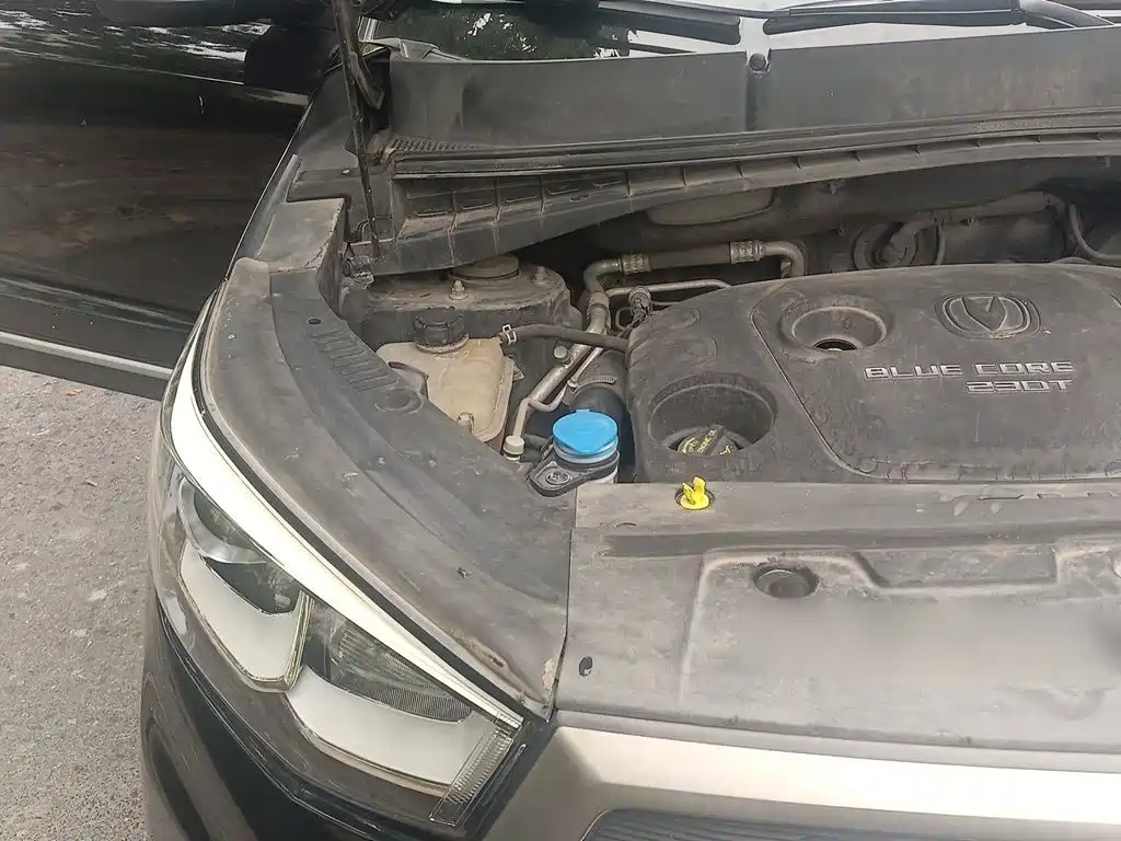 Changan CS55 2018 2017 1.5T Automatic Colorful Edition