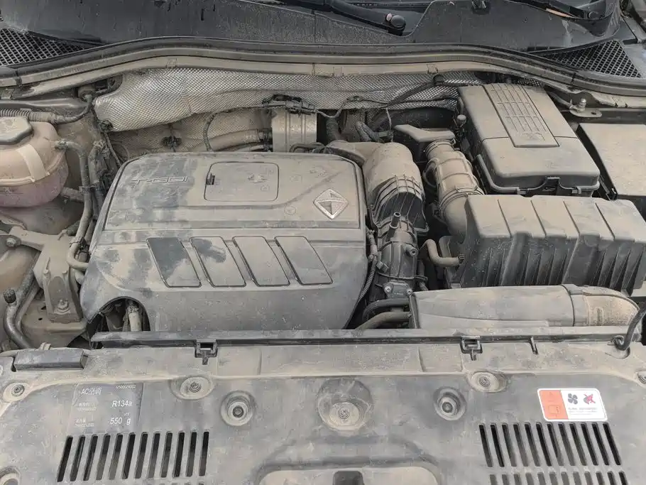 Borgward BX5 2019 2017 Model 20TGDI Automatic 2WD Vanguard Type