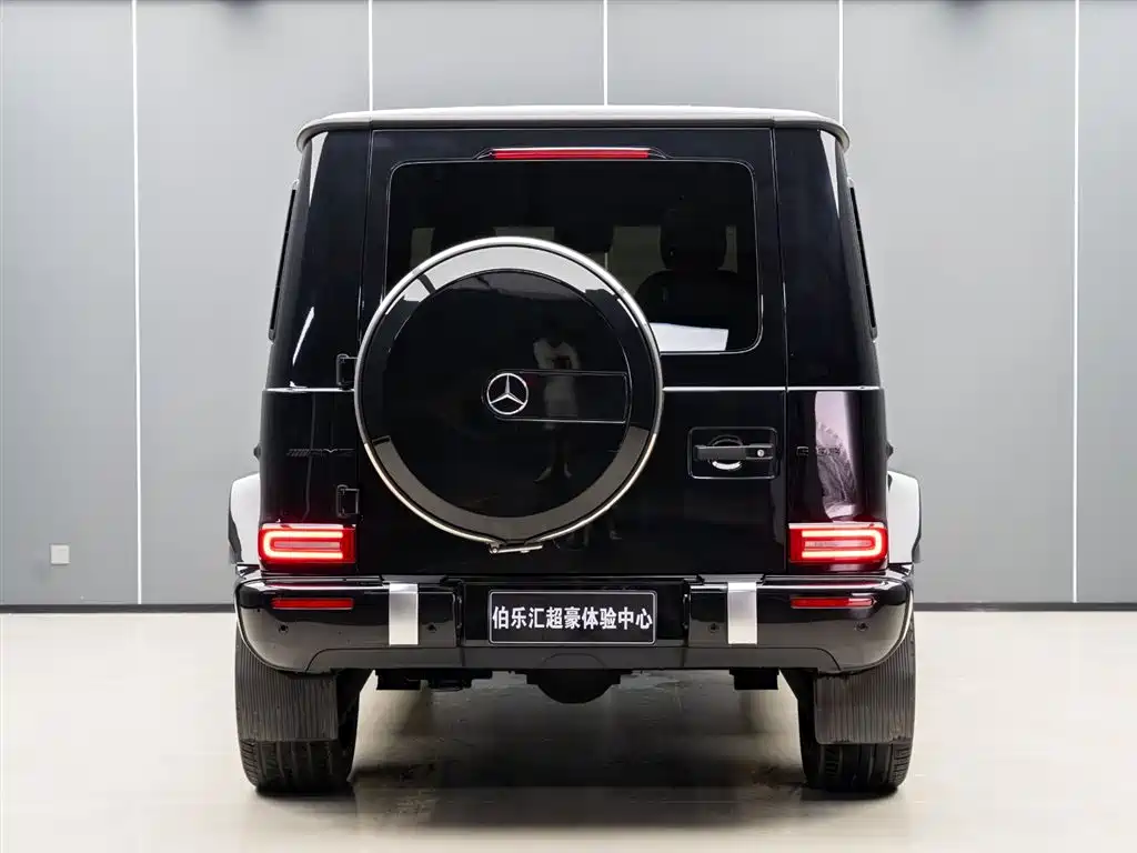Mercedes-Benz G-Class 2023 G 350 фото 7