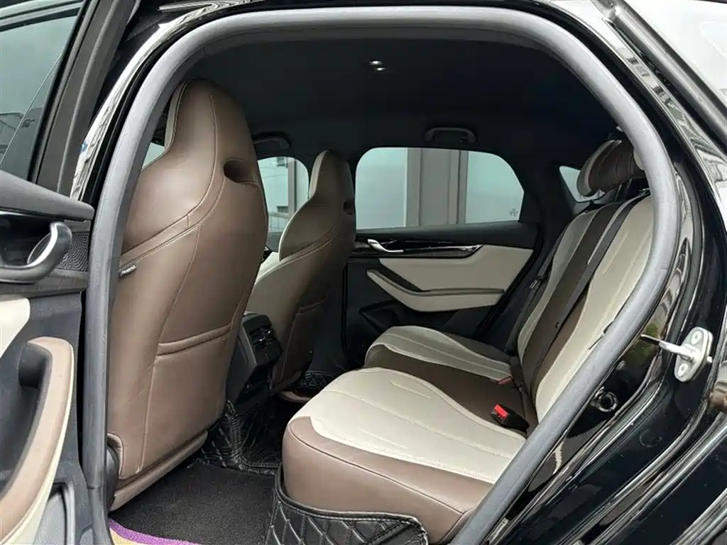 BYD Qin PLUS 2024 Glory Edition DM-i 55KM Leading фото 8